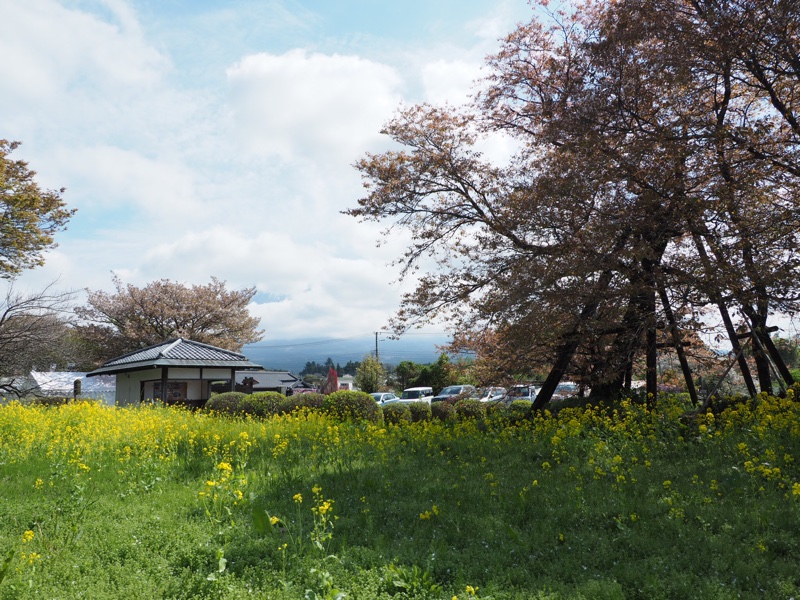 春は富士山へ🗻その1