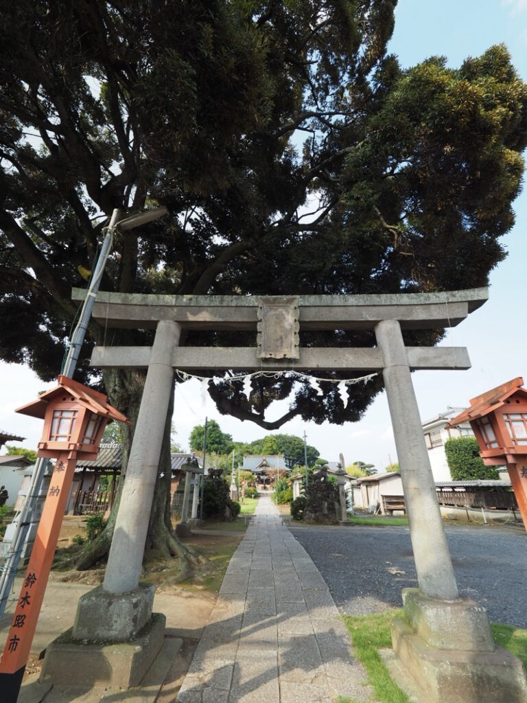 地元の神社⛩️