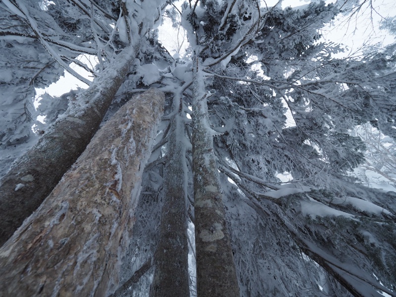 西穂山荘