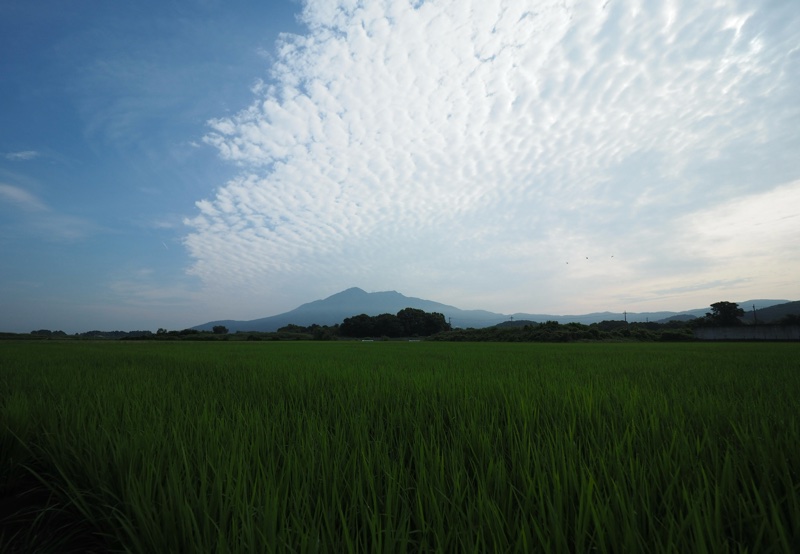 今週も筑波山